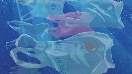 Faute de poissons, les pêcheurs du Nil se reconvertissent dans la chasse au plastique