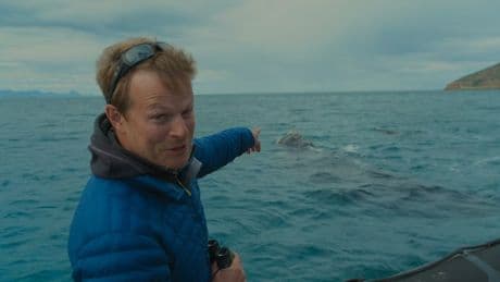 ‘I swim with sharks without a cage but I’m not an adrenaline junkie’