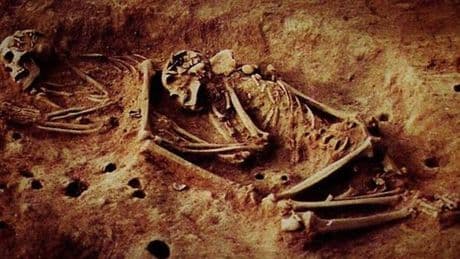 İnsanlık tarihi yeniden yazılıyor! 6.000 yıllık iskeletlerden elde edilen sonuçlar bilim insanlarını şoke etti