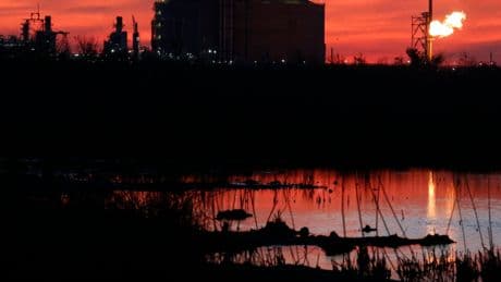Countries Promise Trump to Buy U.S. Gas, and Leave the Details for Later