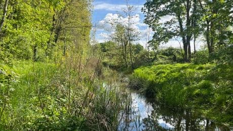 Frappés par le réchauffement, des cours d’eau « quasiment inhabitables » pour certaines espèces
