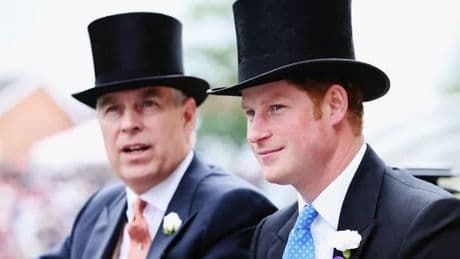 Prince Harry denies physical altercation with Prince Andrew amid new biography revelations