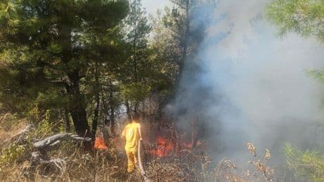 Denizli'de orman yangını, 2 saatte kontrol altına alındı
