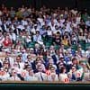 Ace celeb spotting! Dame Anna Wintour, Benedict Cumberbatch and James Norton lead A-list names in Wimbledon's star-studded Royal Box