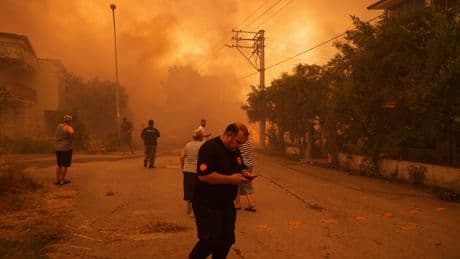 İzmir ve Bilecik'in orman yangınından etkilenen ilçeleri "Genel Hayata Etkili Afet Bölgesi" ilan edildi