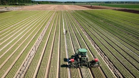Des fermes moins familiales, plus grandes, moins de vaches et plus de colza : la grande mutation de l’agriculture française