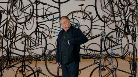 Ai Weiwei Brings His Largest Show Ever to Seattle