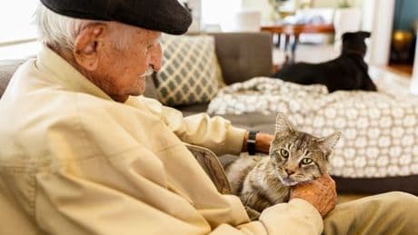 Cat fans in tears over 93-year-old's heartwarming daily routine with elderly pet