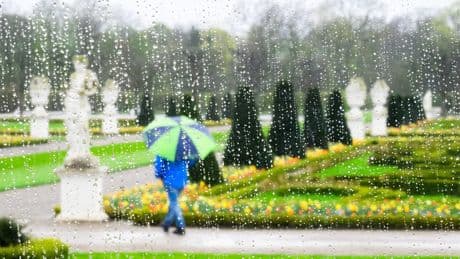Alle Infos zum Wetterphänomen - Wie entsteht eigentlich Regen?