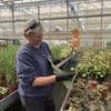 REPORTAGE. Ces jardiniers s’occupent des 135 000 plantes de ces serres municipales en Maine-et-Loire