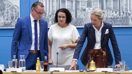 Skandal um AfD-Politikerin Wasser auf die Mühlen