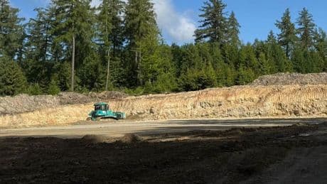 18 Riesen-Anlagen kommen - Windpark-Baustelle frisst Grimms Märchenwald