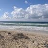 Six students drown and 21 hospitalised after swimming on beach school trip