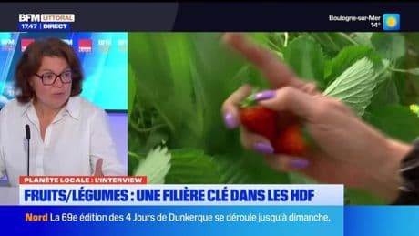 Planète Locale du mercredi 14 mai - Fruits et légumes : une filière clé dans les Hauts-de-France