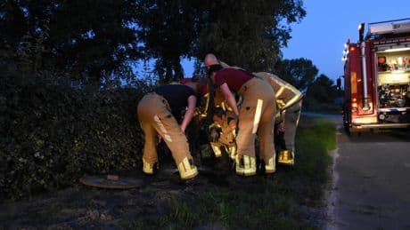 Hond Zenn (14) na vermissing gered uit diepe rioolput in Wetering