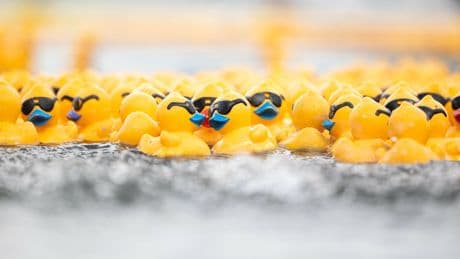 Rentenpolitik | Zeitungs(r)enten
