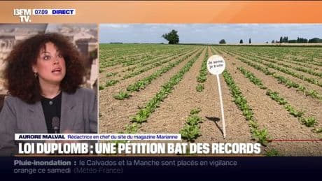 Une pétition citoyenne contre la loi Duplomb, qui réintroduit des pesticides, recueille plus de 300.000 signatures