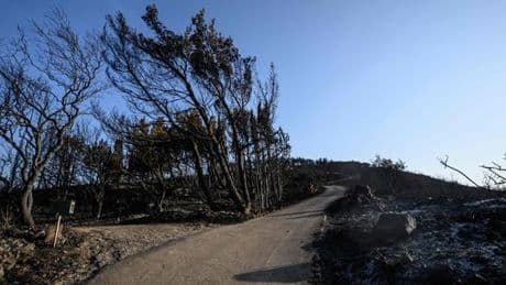 En direct, incendie dans l’Aude : le feu qui a ravagé le massif des Corbières ne pourra pas être sous contrôle avant dimanche soir