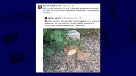 "Un acte de vandalisme": un arbre rendant hommage à Ilan Halimi abattu en Seine-Saint-Denis