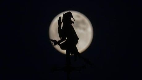 Fotografie: Bilder des Tages
