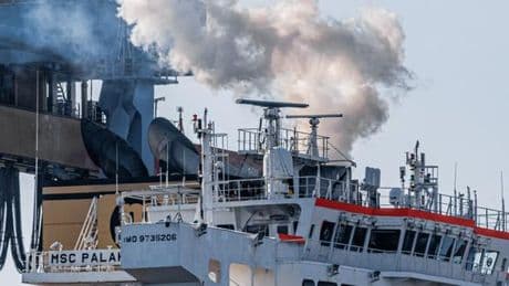 Les droits de douane sont-ils bons pour la planète ?