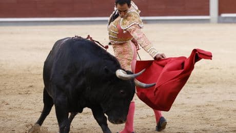 Los toros &quot;rompen&quot; la taquilla y los audímetros: así crecen la asistencia a las plazas y la audiencia en TV