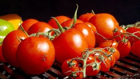Gardening expert shares 'only way' to make tomatoes 'grow to a larger size'