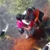 Five people survive 36 hours in alligator-infested swamp after plane crash