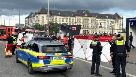 Hamburg: Zwölf Verletzte bei Messerangriff im Hauptbahnhof