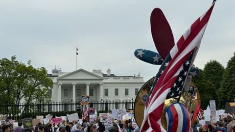 Demonstrationen: Neue landesweite Proteste gegen Trump
