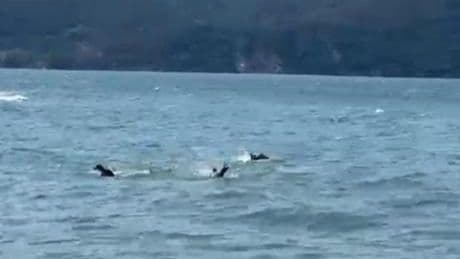 Beykoz'da tekne alabora oldu! 1 kişi hayatını kaybetti