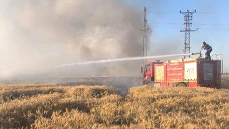 Mardin'de 155 dönüm ekili buğday yandı