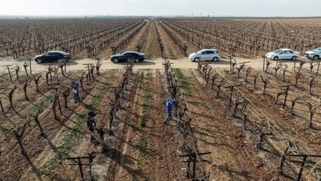 Arbeidsmigranten bewerken de Californische akkers. Nu vrezen ze een klop op de deur