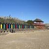 Furious locals demand action after their beautiful beach is 'taken over by gay nudist men having sex in public'