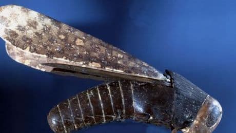 London: Figur eines Grashüpfers aus dem Alten Ägypten für 450.000 Dollar versteigert