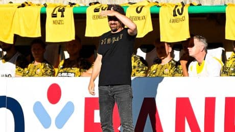 Von Bundesliga-Klubs! - Dynamo Dresden an diesen zwei Verteidigern dran