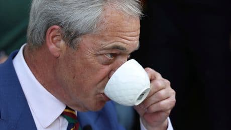 Reform UK’s Election Success Wasn’t About Blocking Closer EU Ties, Poll Says