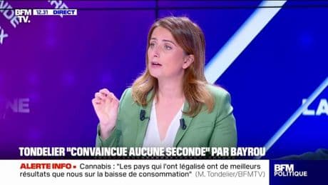 Protection de l'enfance: "Bétharram est l'arbre qui cache la forêt", assure Marine Tondelier
