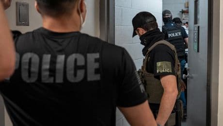 More than 100 human rights abuses discovered in immigration detention since Trump took office, senate probe says