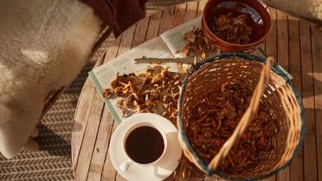 Brits 'ditching coffee' for 'bizarre' caffeine-free health drink
