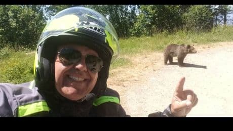 Rumänien: Braunbär greift Tourist an – tot