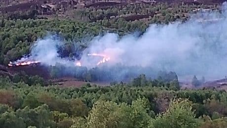 Massive fire 'size of two rugby pitches' in Trossachs blamed on disposable BBQ