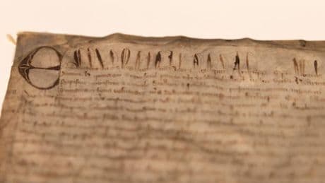 Einst für 27 Dollar gekauft – Harvard entdeckt 700 Jahre altes Dokument im Fundus