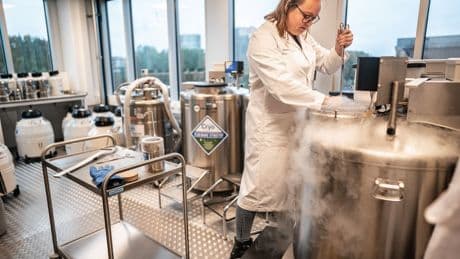 De Embryowet wijzigen om ernstige ziektes te voorkomen: ‘Laat dit een keuze zijn van wensouders en hun artsen, niet van de politiek’