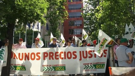 El cereal español se encomienda a un pacto entre Bruselas y Ucrania para sacar partido de una cosecha récord