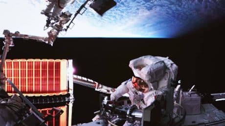 Forscher sind verblüfft: Komplett neue Spezies auf Raumstation entdeckt