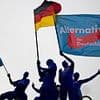 German spy agency designates AfD as 'right-wing extremist' group over 'racist comments' and 'disregard of human dignity' - after opposition party came second in recent elections