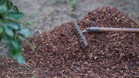 'Blooming genius' mulching hack is perfect for gardeners with a bad back