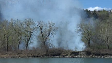 Calgary crews scramble to contain brush fire in city’s southwest