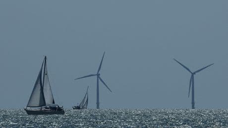 Donald Trump plonge l’éolien marin dans la tourmente